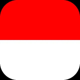 INDONESIA flag